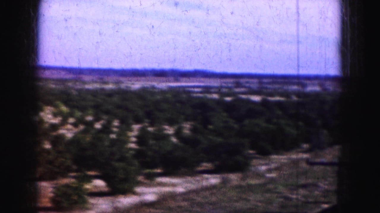 Flat marshland and scrub vegetation under a pale sky, seen through dark film borders.