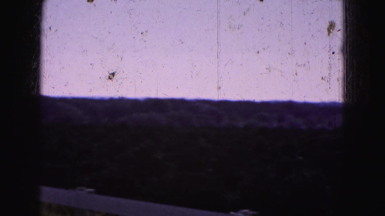 1975 8mm view of a dark agricultural field in the Florida Everglades with a pale sky and partial white fence rail.