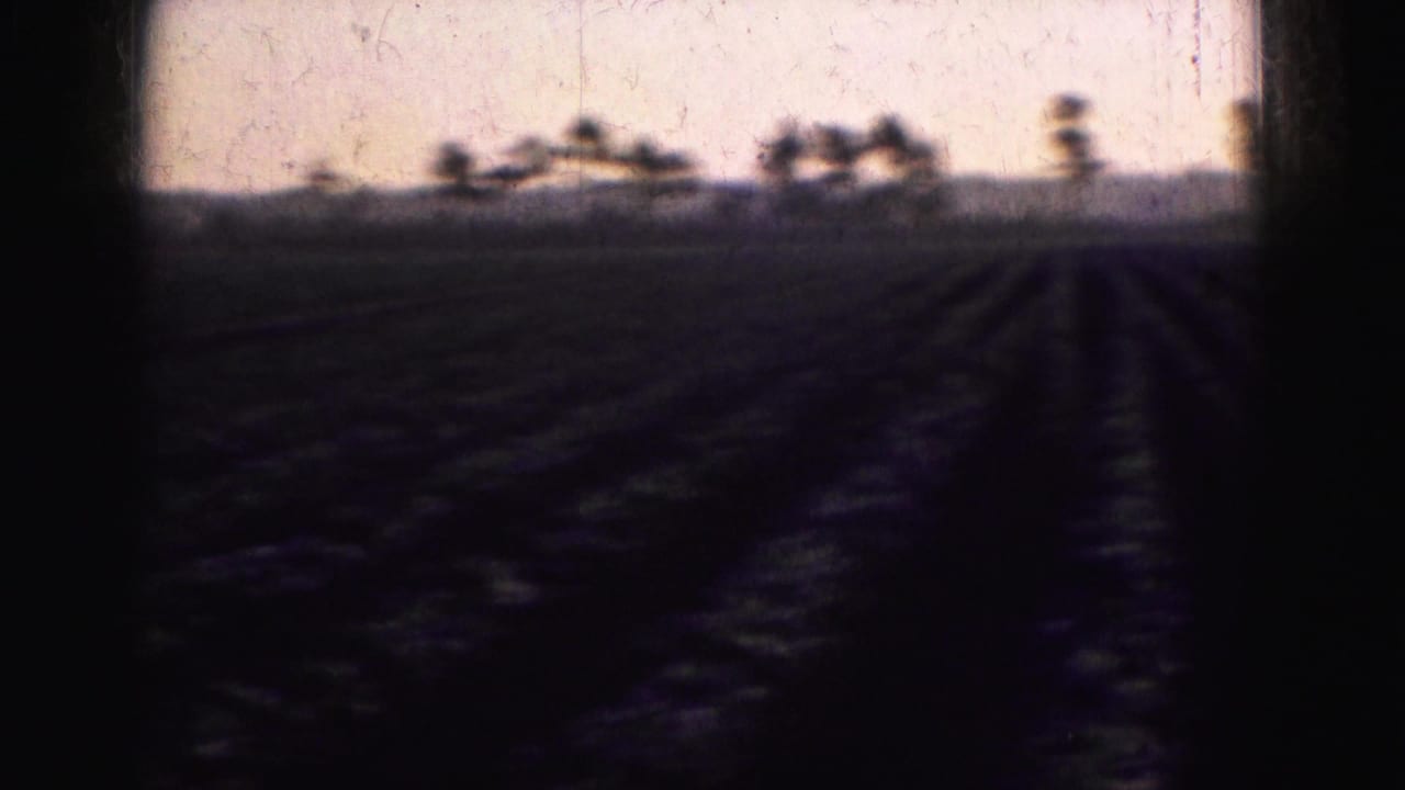 Furrows stretch across a Florida Everglades agricultural field toward a soft tree line in faded 1975 8mm footage.