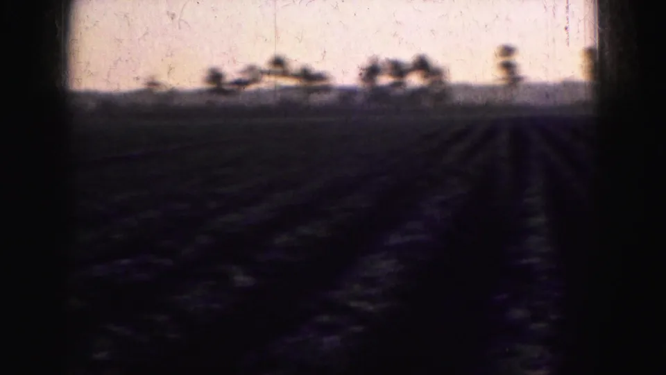Furrows stretch across a Florida Everglades agricultural field toward a soft tree line in faded 1975 8mm footage.