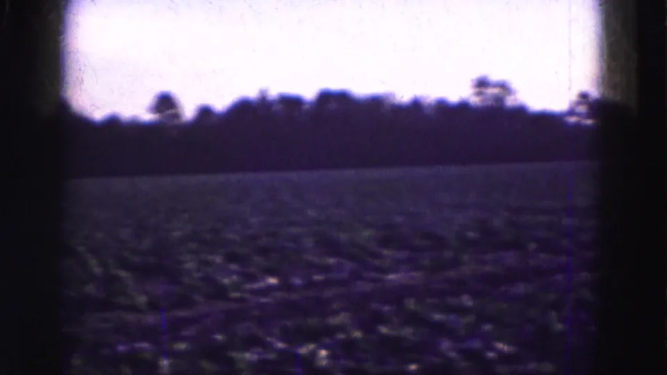 The camera passes over low rows in an Everglades agricultural field, with a dark tree line silhouetted in faded 8mm color.