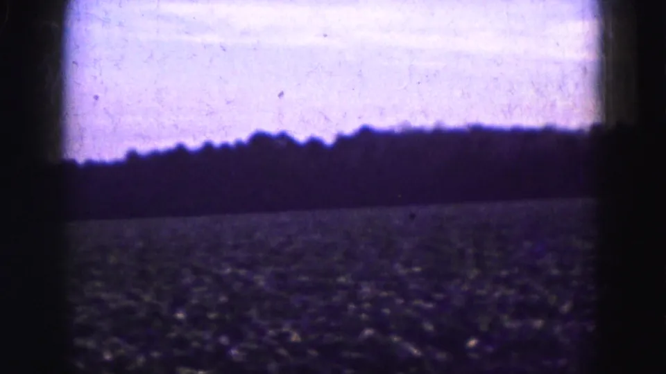 Final frame of the 1975 Everglades field pan, showing rows, a distant tree line, and heavy 8mm grain with dark gate edges.