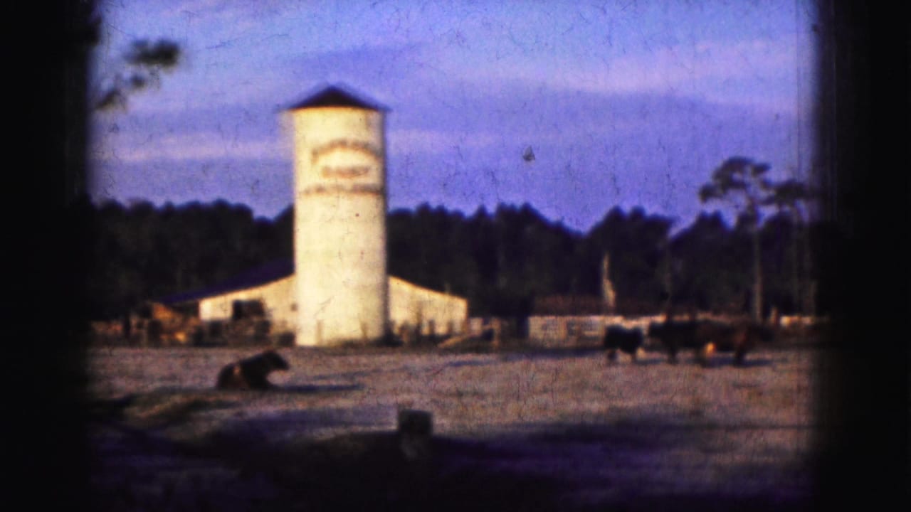 1975 Florida Everglades frame showing a white silo-like farm structure, open yard, trees, and livestock in soft 8mm color.