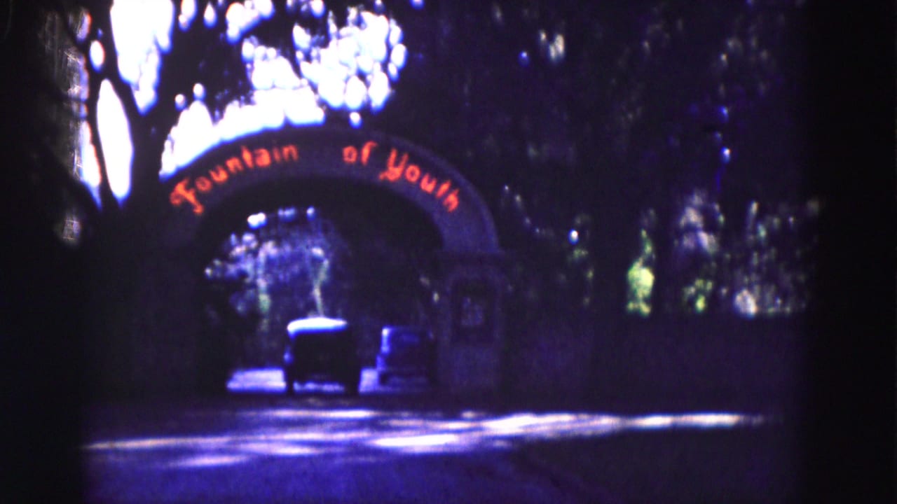 Car approaching a shaded Fountain of Youth arch beneath trees.