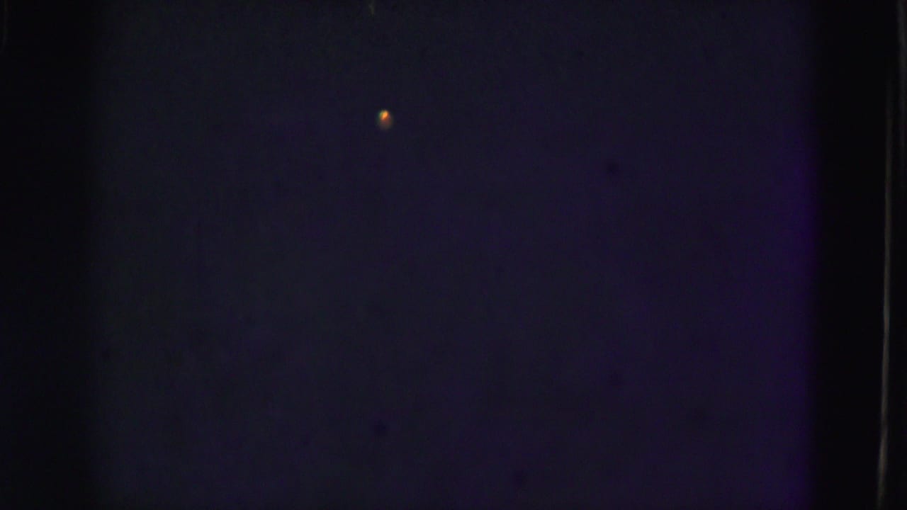 1975 Florida Everglades 8mm frame showing mostly dark blue underwater texture, a small orange speck, and vertical film-edge shadow.