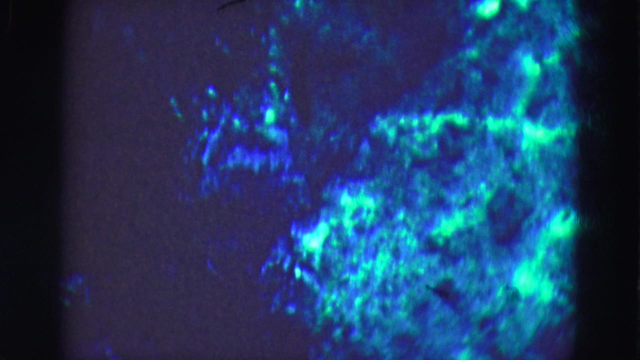 1975 8mm home-movie frame from a Florida Everglades trip showing blue-green illuminated underwater forms or rocks behind dark aquarium glass.