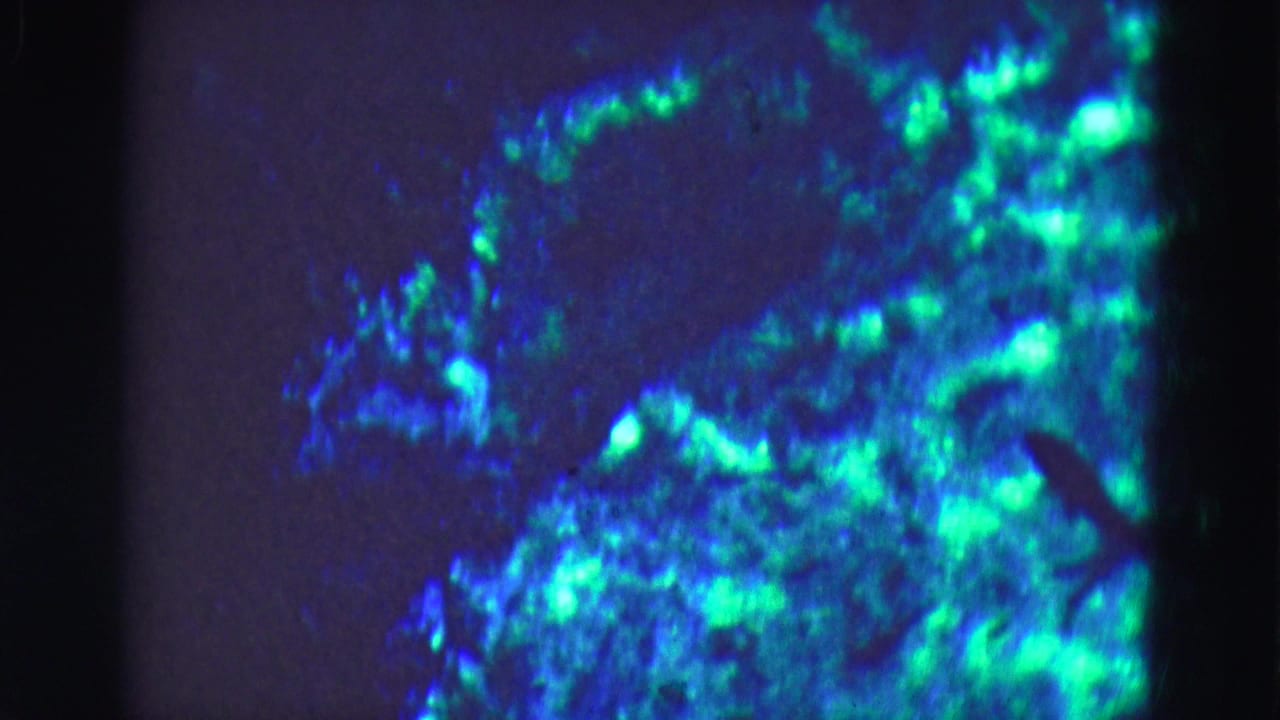 Glowing blue-green underwater material fills the upper right of an aquarium view.