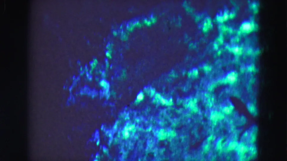 1975 8mm frame showing fluorescent blue-green aquarium-like underwater material with dark glass edges and soft focus.