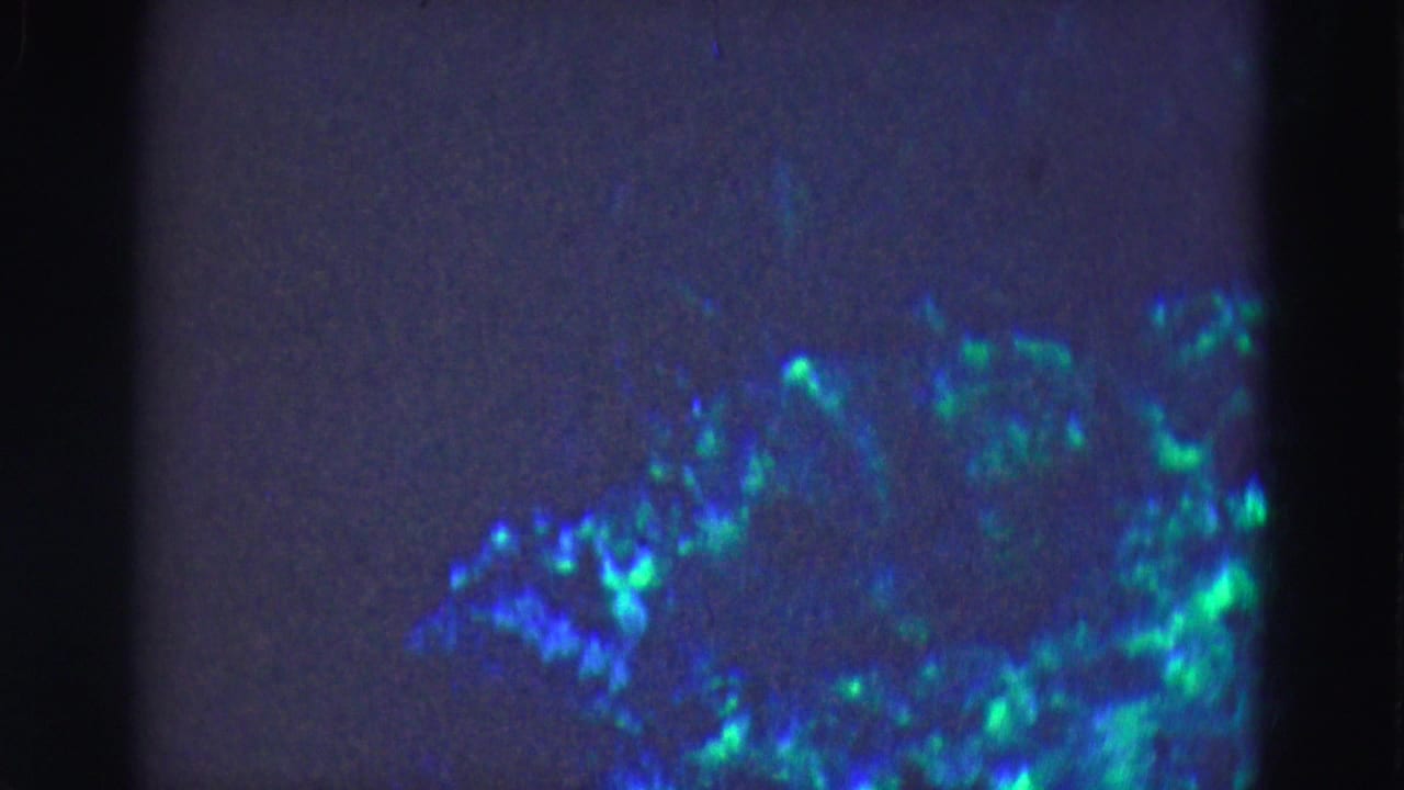 Soft 8mm frame from the supplied 1975 Florida Everglades context showing dim aquarium glass with blue-green glowing underwater shapes near the lower right.