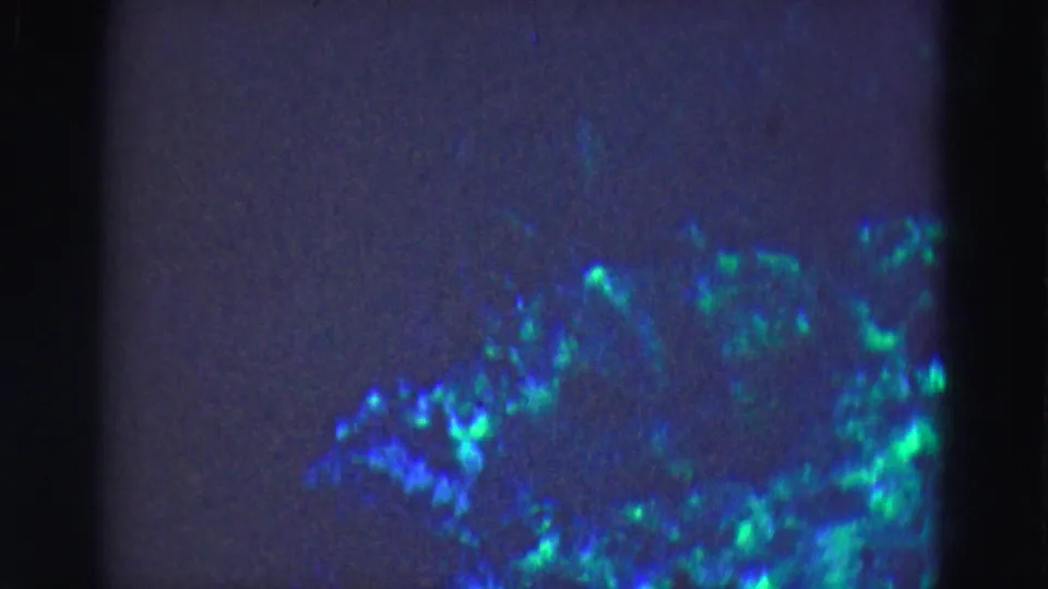 Soft 8mm frame from the supplied 1975 Florida Everglades context showing dim aquarium glass with blue-green glowing underwater shapes near the lower right.