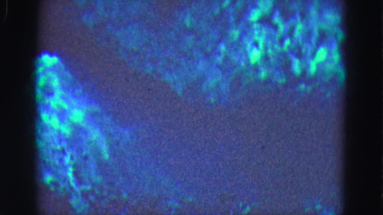 1975 Everglades home-movie frame with soft blue-green luminous shapes against a dark indigo field.