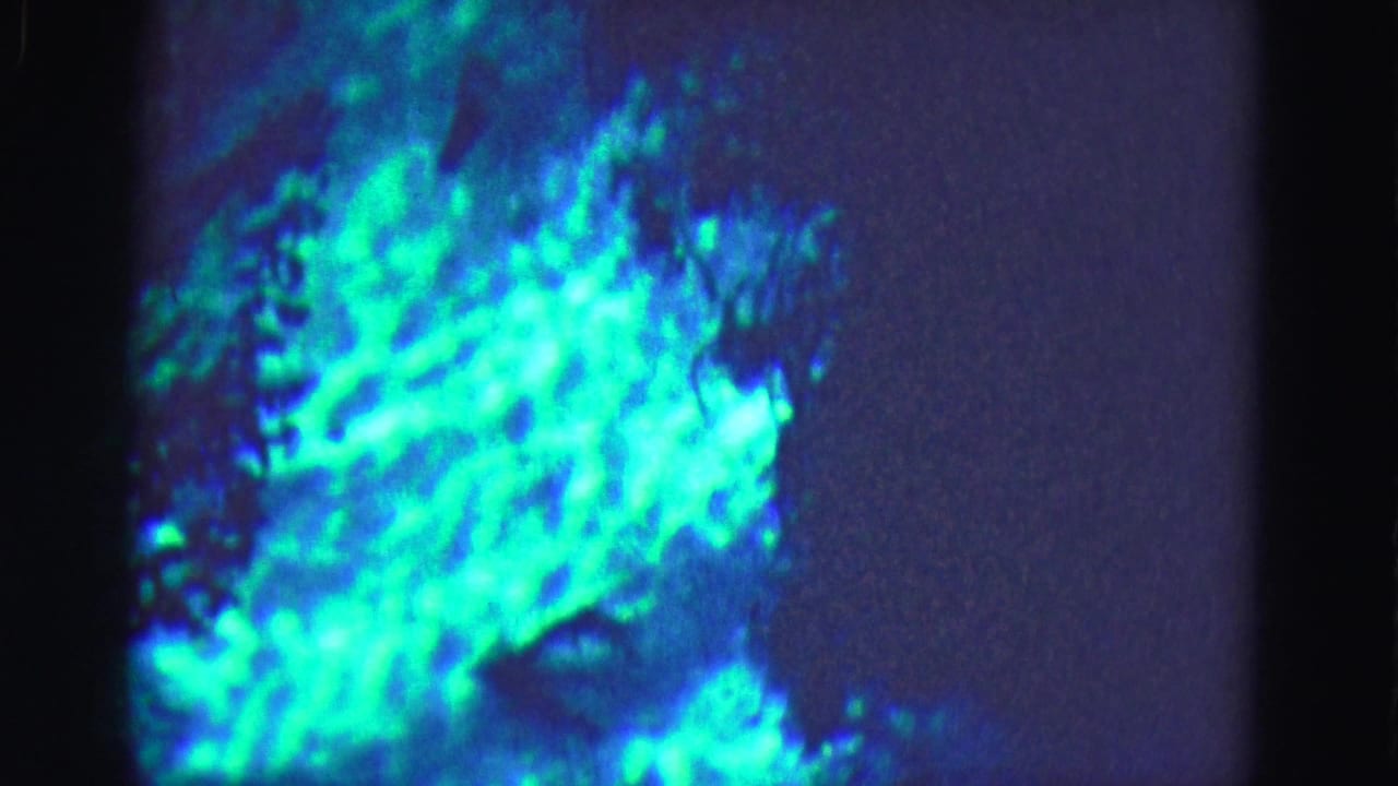 A brighter blue-green cluster dominates this 1975 Everglades night home-movie frame.