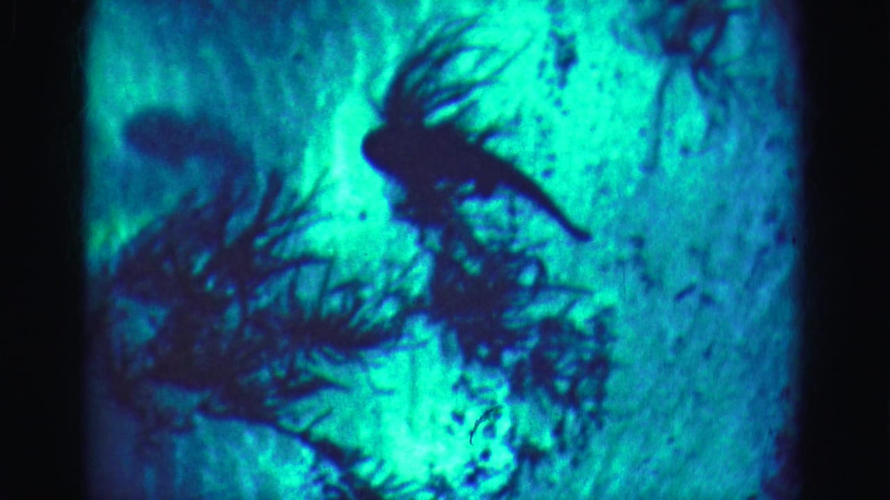 1975 8mm Florida Everglades underwater frame with small dark aquatic silhouettes near plant-like forms in bright blue-green water.