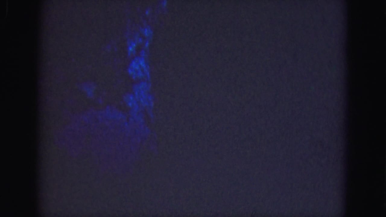 1975 Florida Everglades 8mm frame showing a dark fish-like form in blue-green underwater light with soft grain.