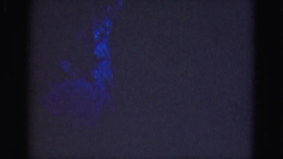 1975 Florida Everglades 8mm frame showing a dark fish-like form in blue-green underwater light with soft grain.