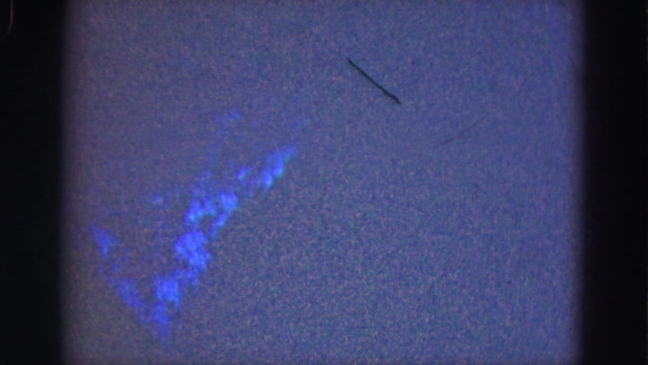 1975 Everglades 8mm underwater frame showing a blue fish-like form and a thin dark line in the water.