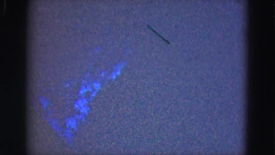 1975 Everglades 8mm underwater frame showing a blue fish-like form and a thin dark line in the water.