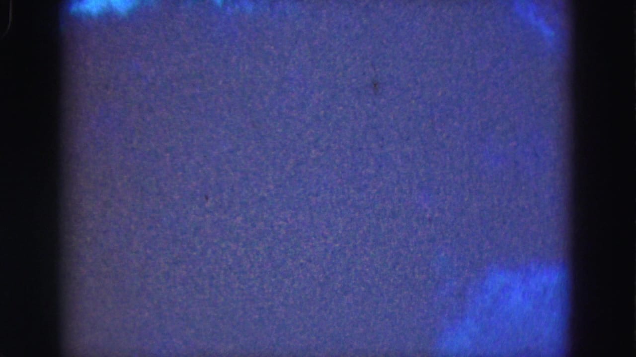 1975 Florida Everglades home-movie frame showing an abstract dark blue-purple nighttime view with film grain and gate edges.