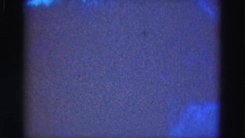 1975 Florida Everglades home-movie frame showing an abstract dark blue-purple nighttime view with film grain and gate edges.