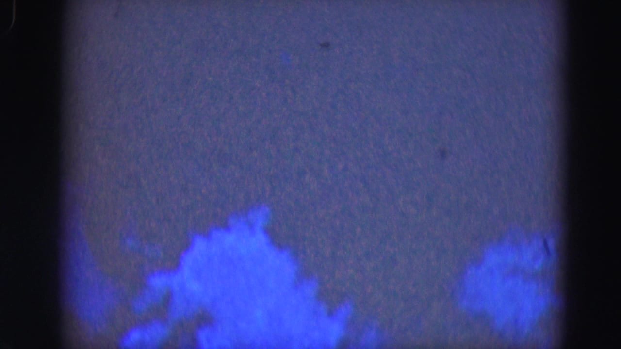 1975 Florida Everglades home-movie frame with bright blue low-light forms near the bottom and heavy 8mm grain.