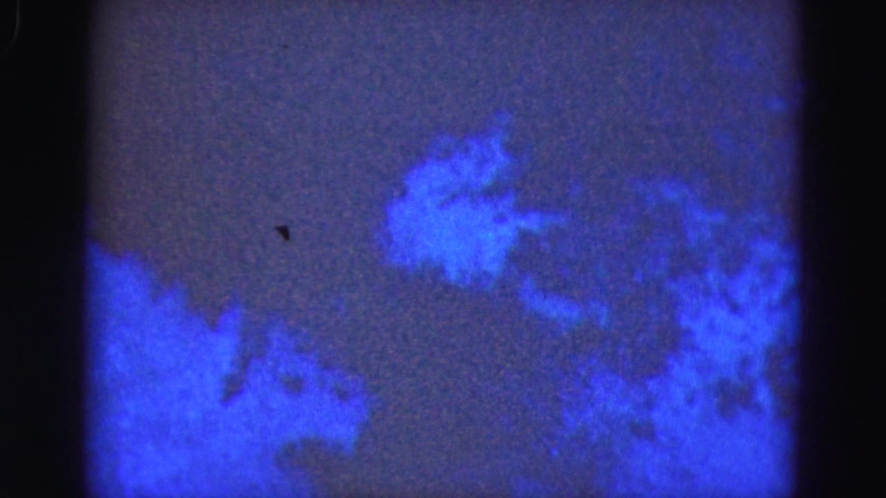 1975 Florida Everglades frame showing abstract blue formations across a dark purple low-light scene with visible film texture.