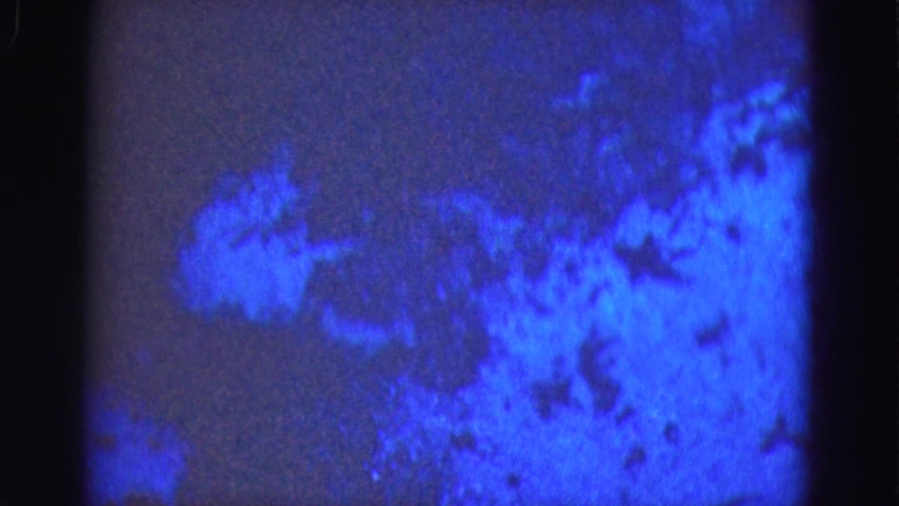 1975 8mm frame from Florida Everglades trip showing an indistinct blue-purple textured surface with dark gate edges and grain.