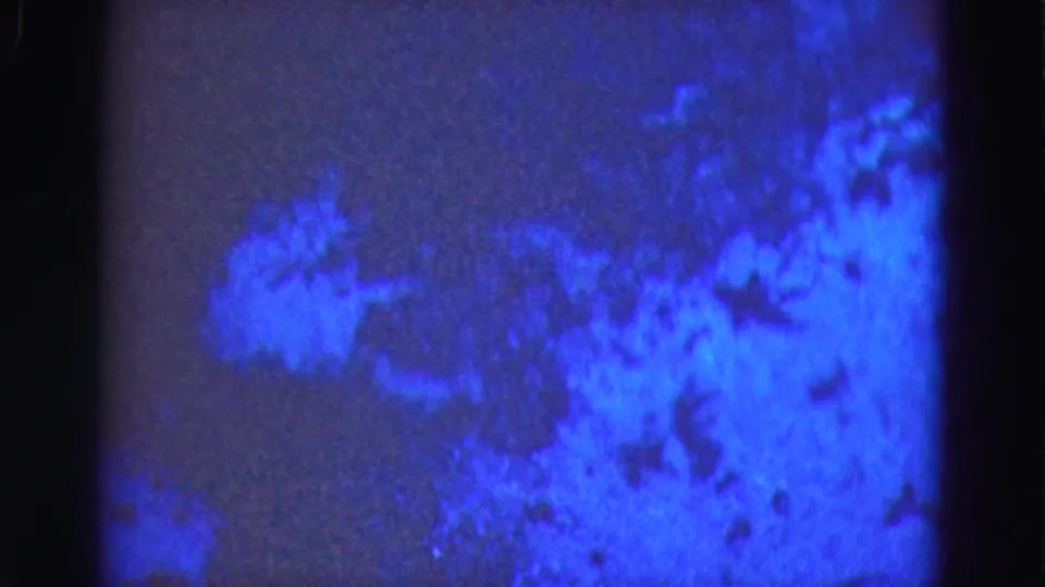 1975 8mm frame from Florida Everglades trip showing an indistinct blue-purple textured surface with dark gate edges and grain.