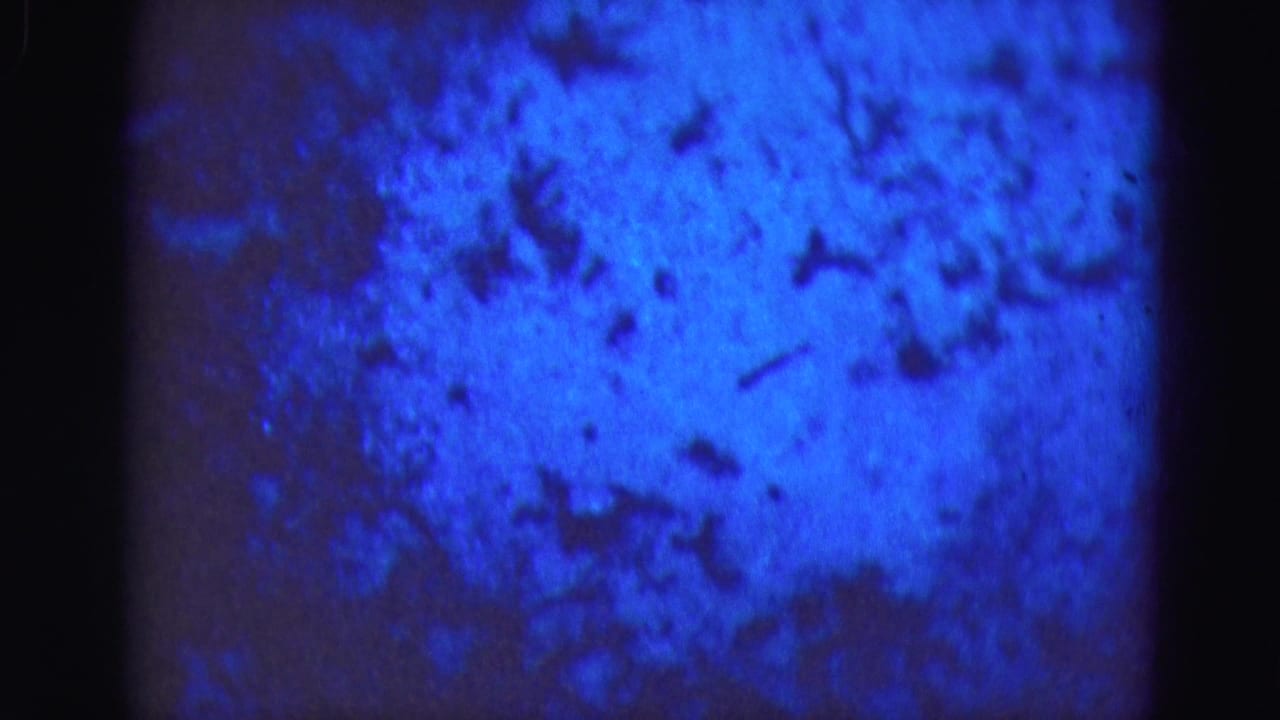 Bright blue mottled texture with black vertical film edge.