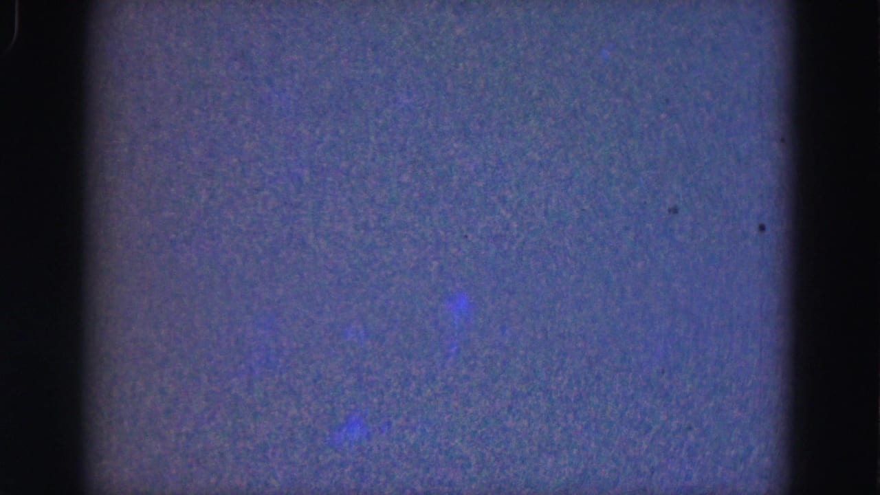 1975 Everglades 8mm frame showing a mostly gray-purple grain field with faint blue patches, dark edge borders, and soft exposure.