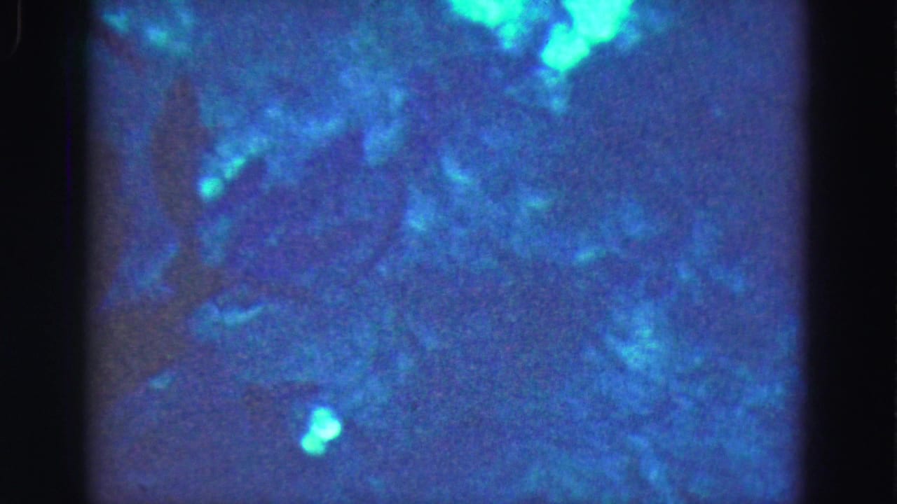 Murky blue-green water with faint dark fish shapes and black 8mm frame borders.