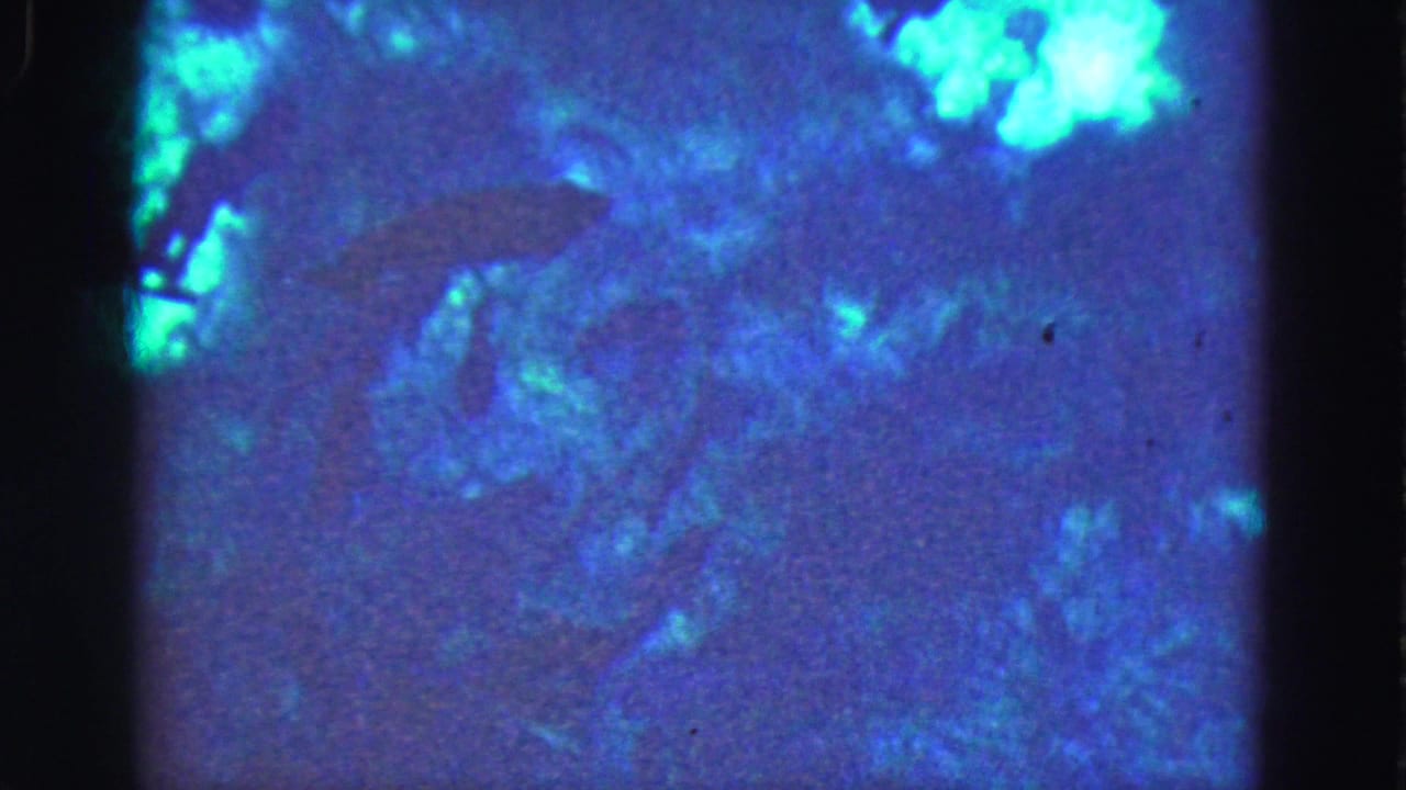 Dark fish silhouette beneath blue-green water with soft grain and frame edge shadow.