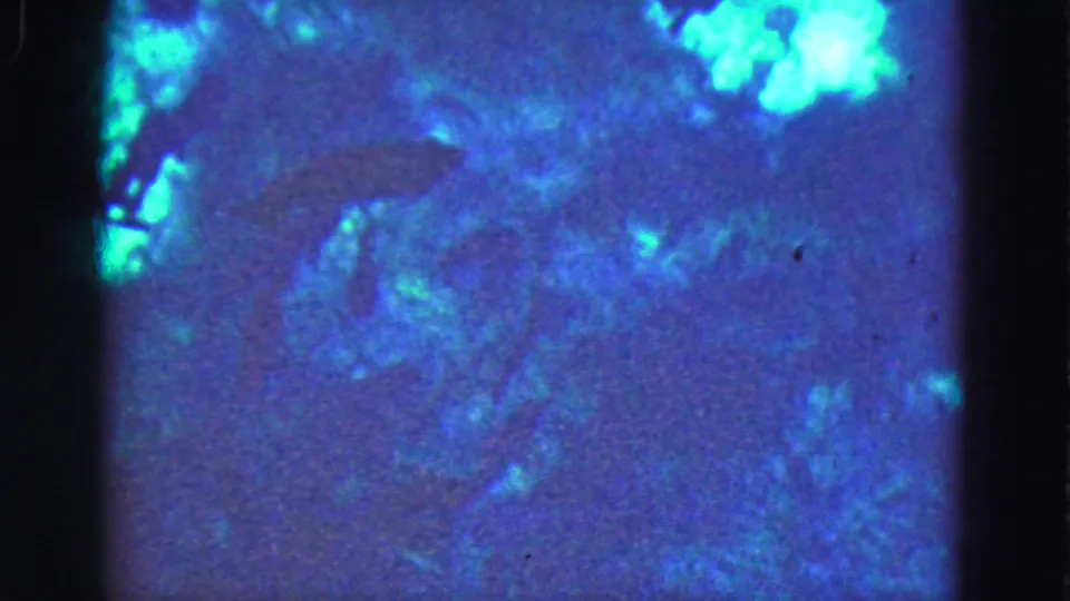 1975 Florida Everglades 8mm frame with a dark fish silhouette under glowing blue-green murky water.