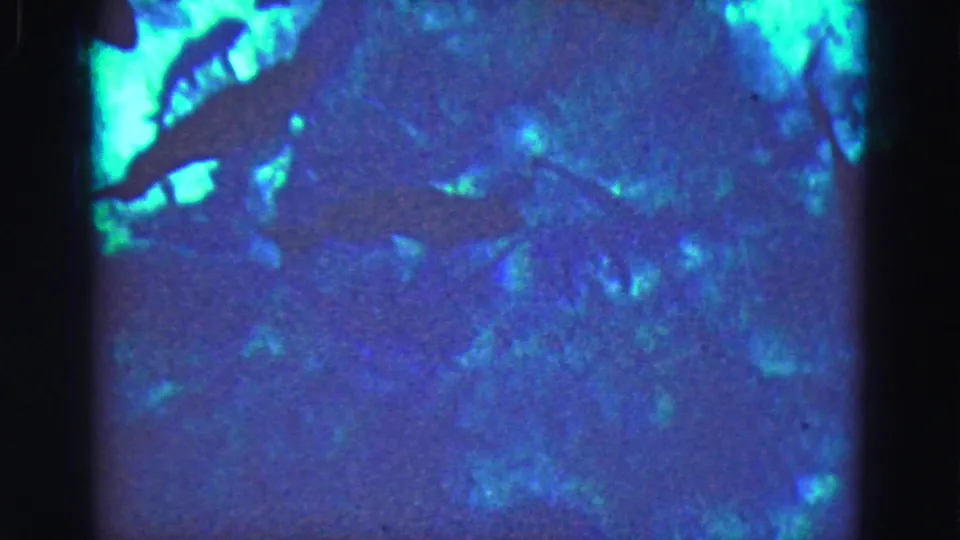 1975 Florida Everglades home-movie frame showing a blue-green aquarium or tank view with indistinct aquatic forms and heavy film grain.