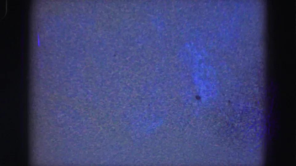 Grainy 1975 home-movie frame from the Florida Everglades trip, showing a dim blue tank area with faint aquatic movement or reflections.