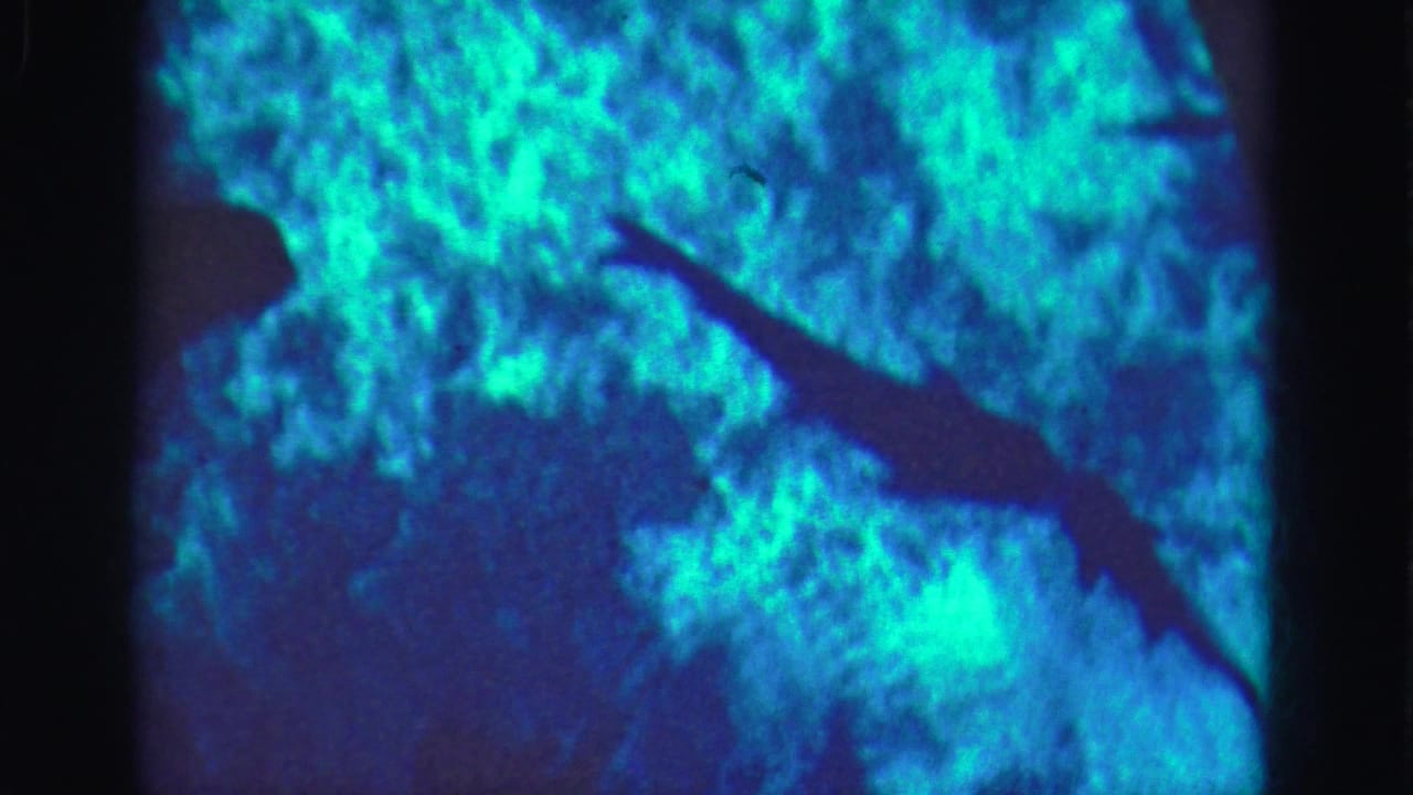 1975 Florida Everglades underwater frame with a dark fish silhouette moving across blue-green coral or reef-like texture.