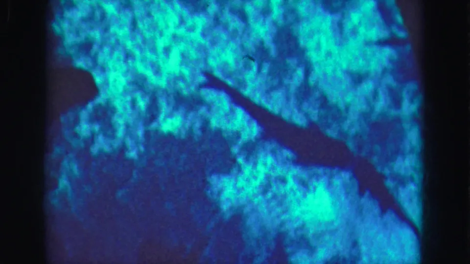 1975 Florida Everglades underwater frame with a dark fish silhouette moving across blue-green coral or reef-like texture.