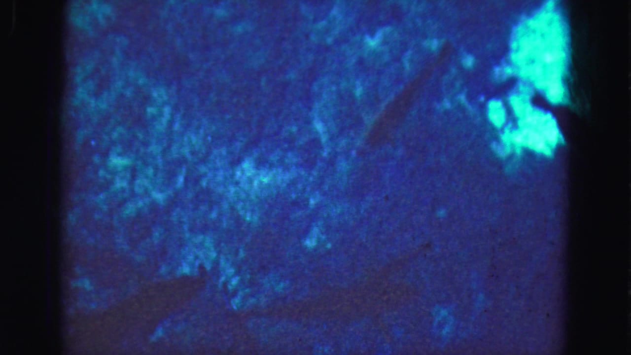 1975 8mm-style Florida trip footage showing blue aquarium water, mottled light, and a dark fish shape near the top of frame.