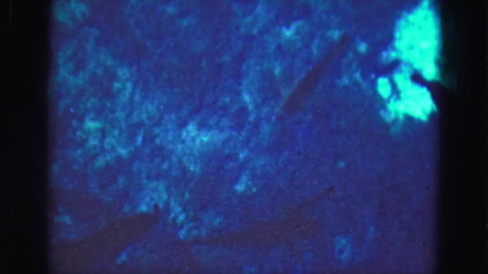 1975 8mm-style Florida trip footage showing blue aquarium water, mottled light, and a dark fish shape near the top of frame.
