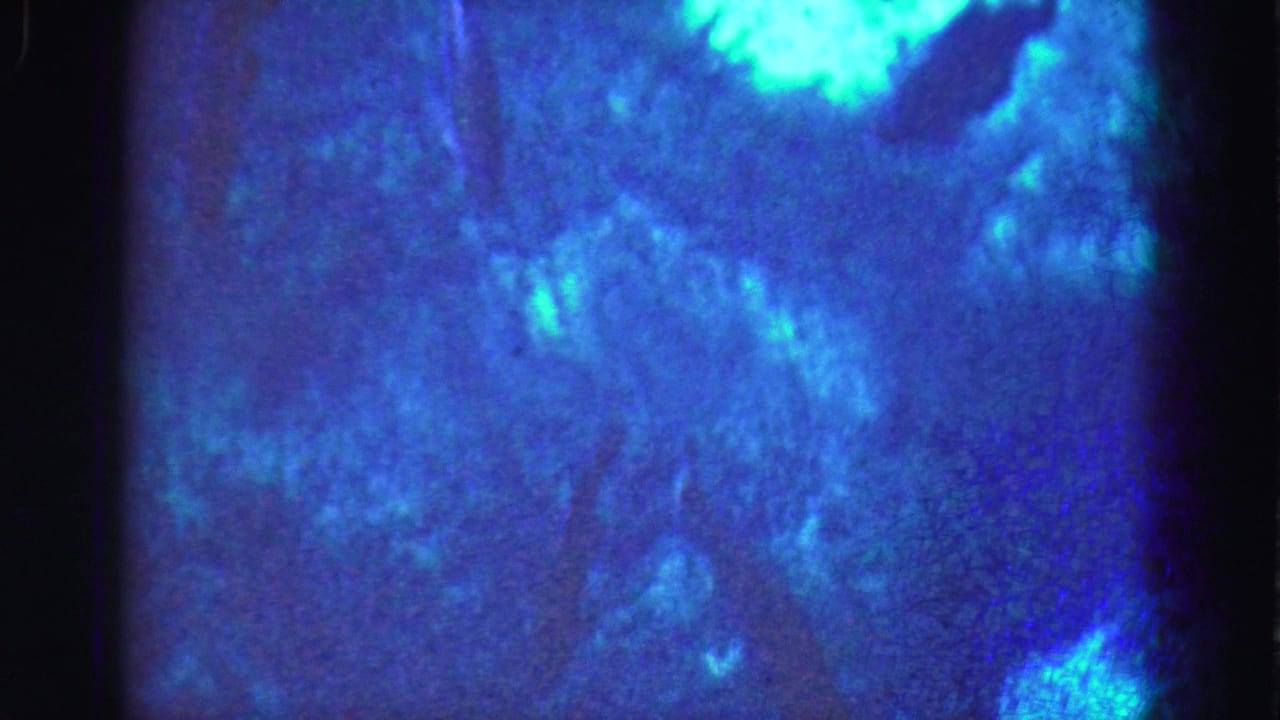 Blue and turquoise aquarium view from the 1975 Florida Everglades trip reel, with faint fish shapes and bright reflected light.