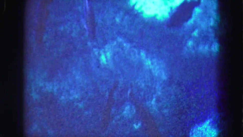 Blue and turquoise aquarium view from the 1975 Florida Everglades trip reel, with faint fish shapes and bright reflected light.