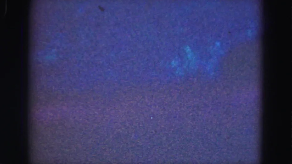 Low-light 8mm aquarium footage from the 1975 Florida trip, showing muted blue water and faint aquatic forms behind glass.