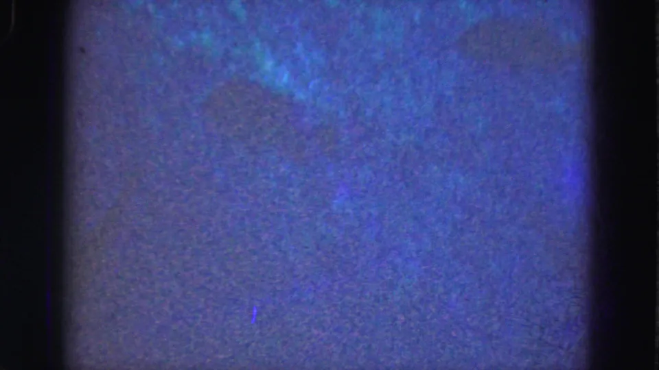 1975 Florida Everglades home-movie frame with blue cast, soft focus, dark gate edges, and indistinct watery texture.