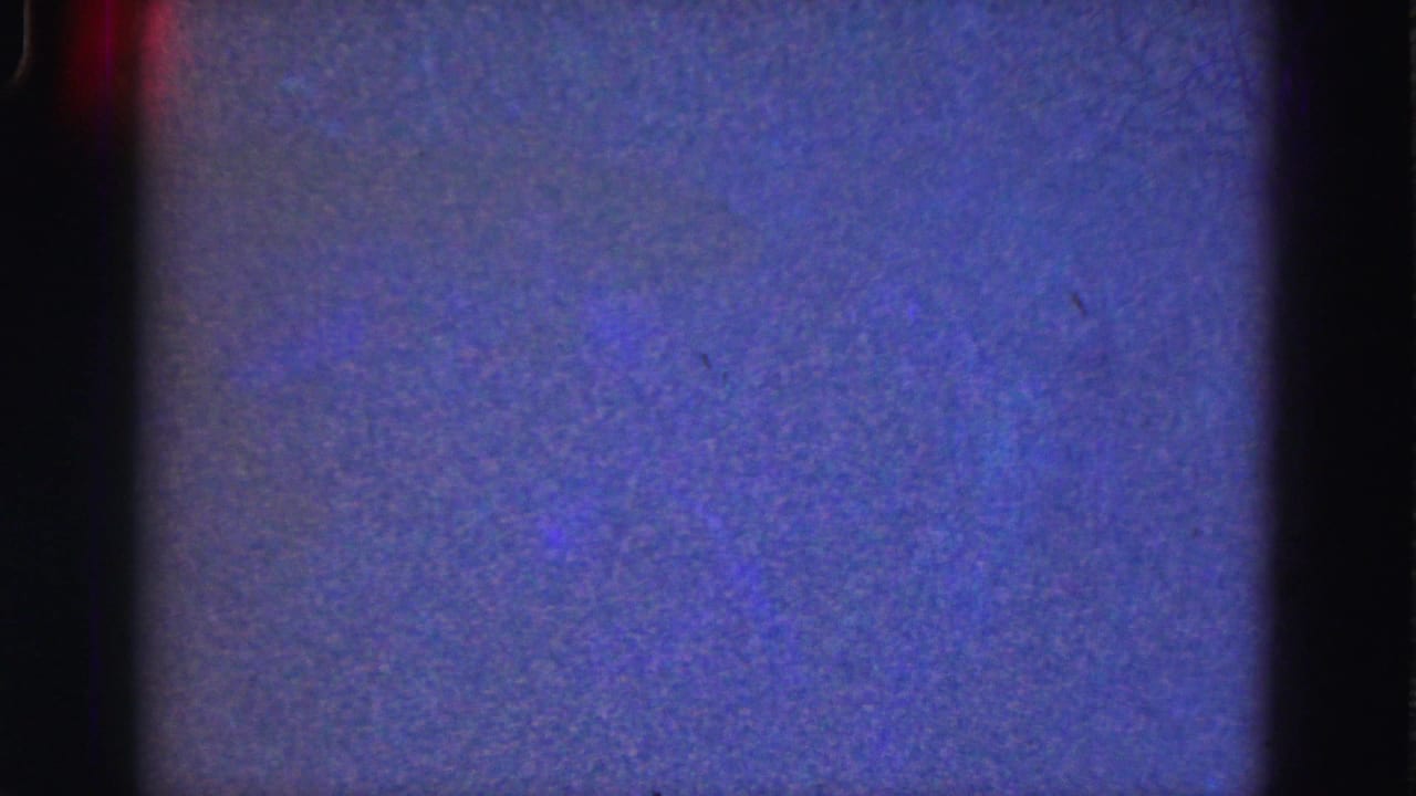 Blue-purple 8mm frame from the supplied 1975 Everglades clip, showing grain, soft texture, and dark film border.