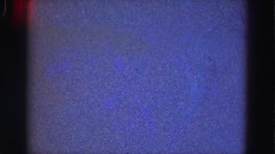 Blue-purple 8mm frame from the supplied 1975 Everglades clip, showing grain, soft texture, and dark film border.