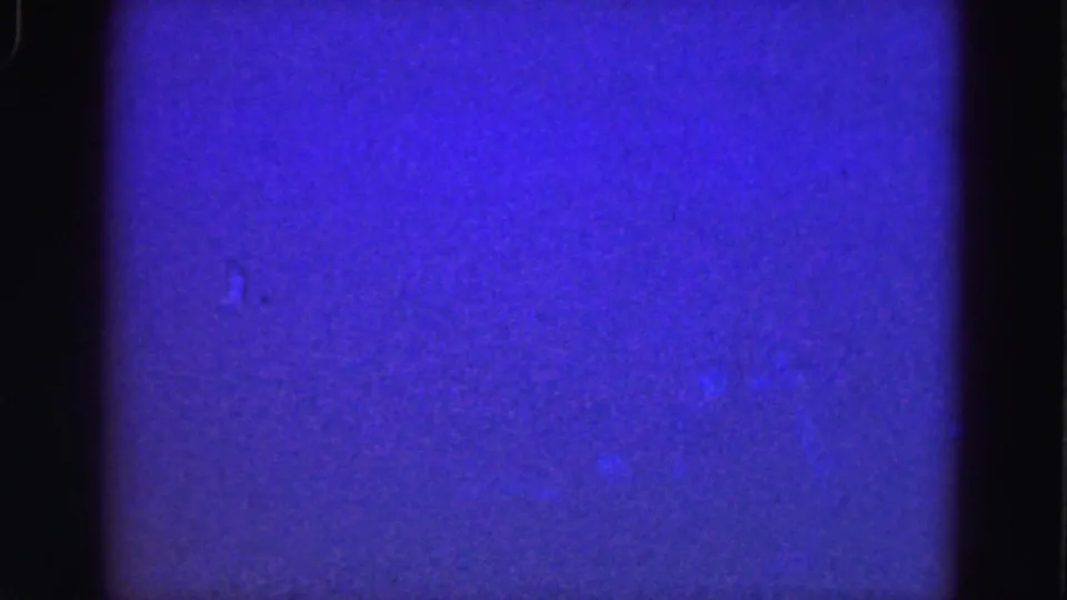 Soft blue-violet 8mm frame from the 1975 Everglades clip, with film grain, dark border, and indistinct surface marks.