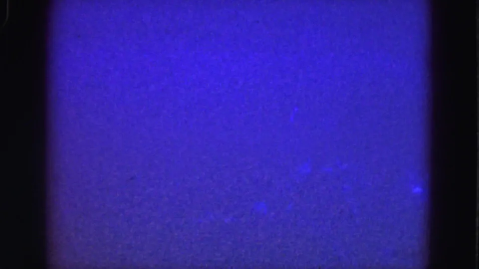 1975 8mm Florida Everglades underwater view with deep blue tones, soft grain, and no identifiable people or objects.