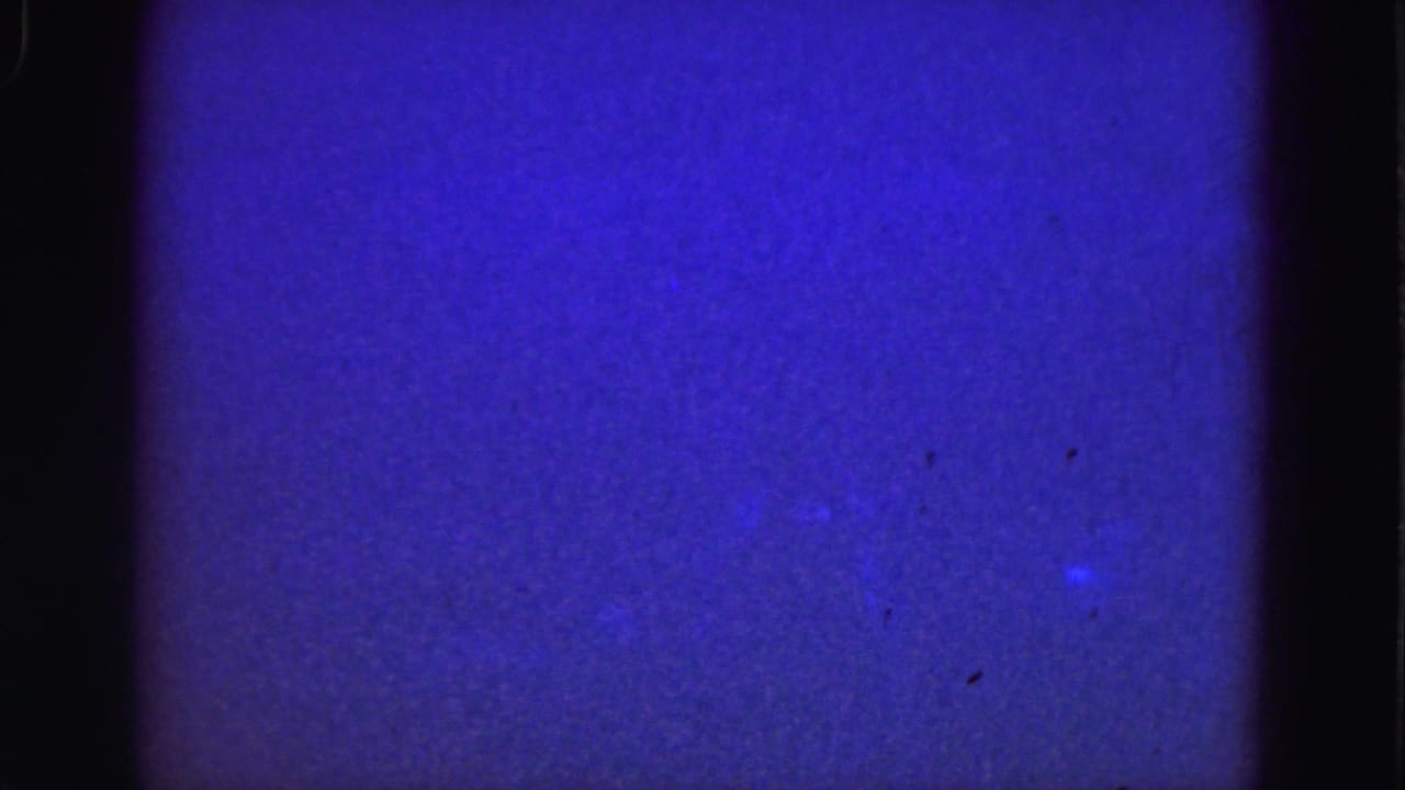 Archival 1975 underwater frame from the Florida Everglades clip, showing blue water, grain, and faint suspended matter.