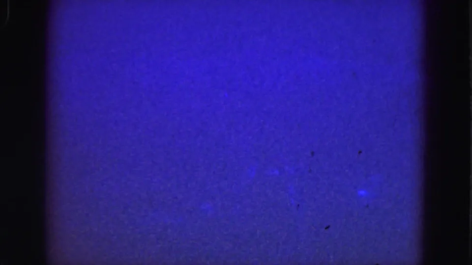 Archival 1975 underwater frame from the Florida Everglades clip, showing blue water, grain, and faint suspended matter.