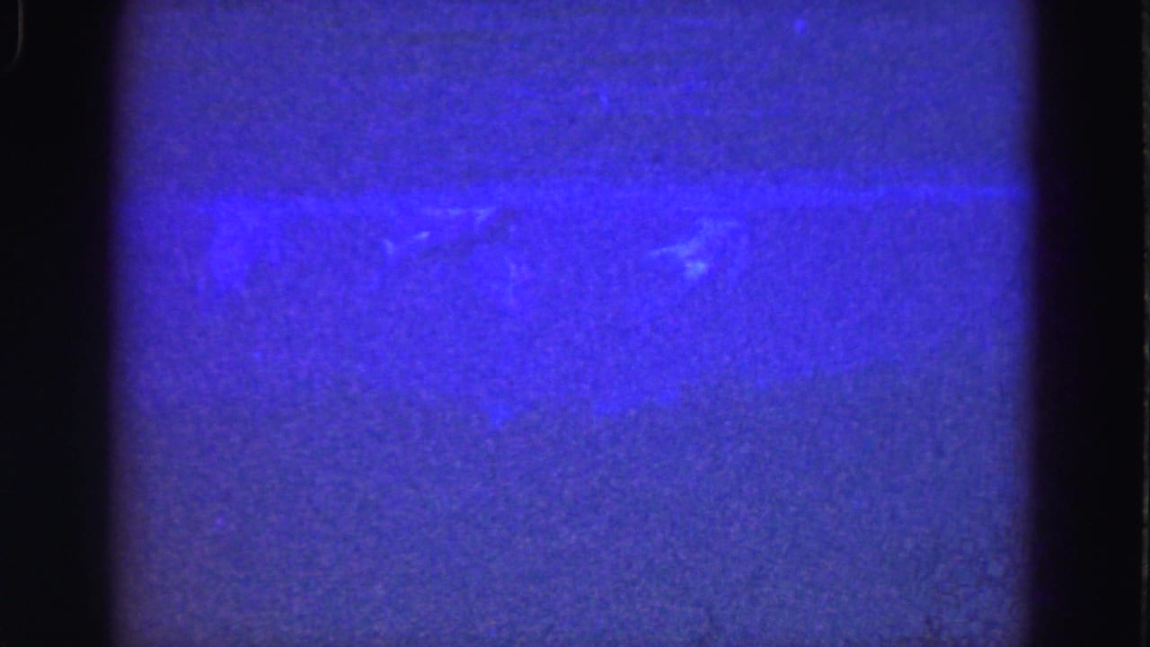Blue-toned 8mm underwater frame from the Florida Everglades reel, with faint light streaks and dark film edges.