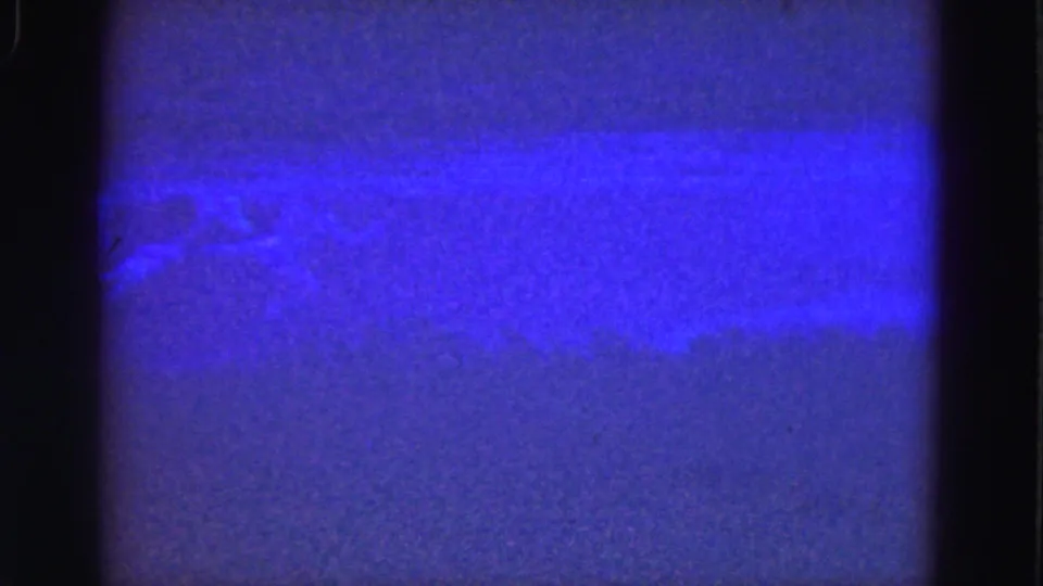 Blue 8mm underwater frame from the supplied Florida Everglades clip, with a bright horizontal streak and grainy texture.